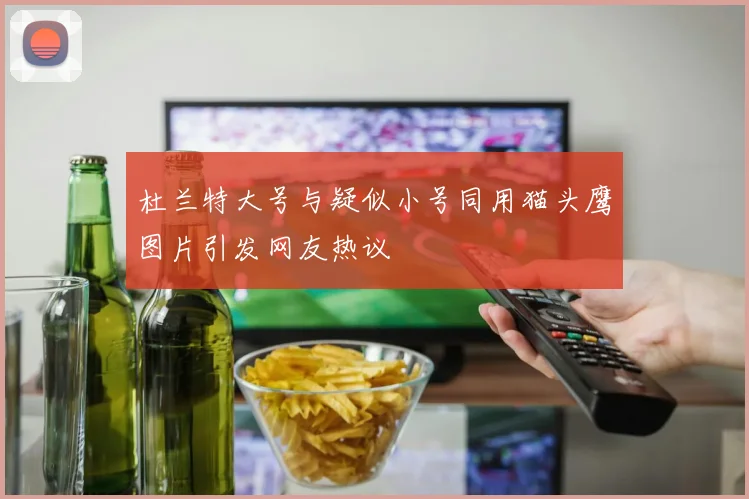 杜兰特大号与疑似小号同用猫头鹰图片引发网友热议